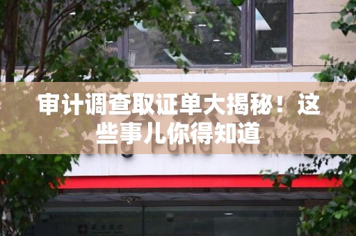 顺昌审计调查取证单大揭秘！这些事儿你得知道
