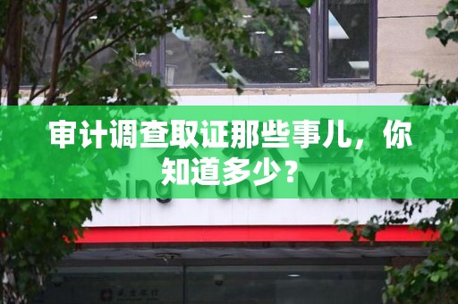 顺昌审计调查取证那些事儿，你知道多少？