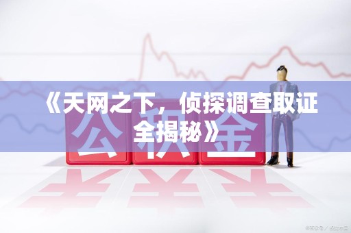 顺昌《天网之下，侦探调查取证全揭秘》