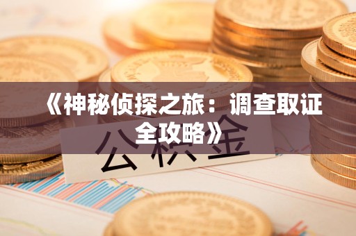 顺昌《神秘侦探之旅：调查取证全攻略》